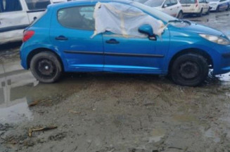 Porte avant gauche PEUGEOT 207