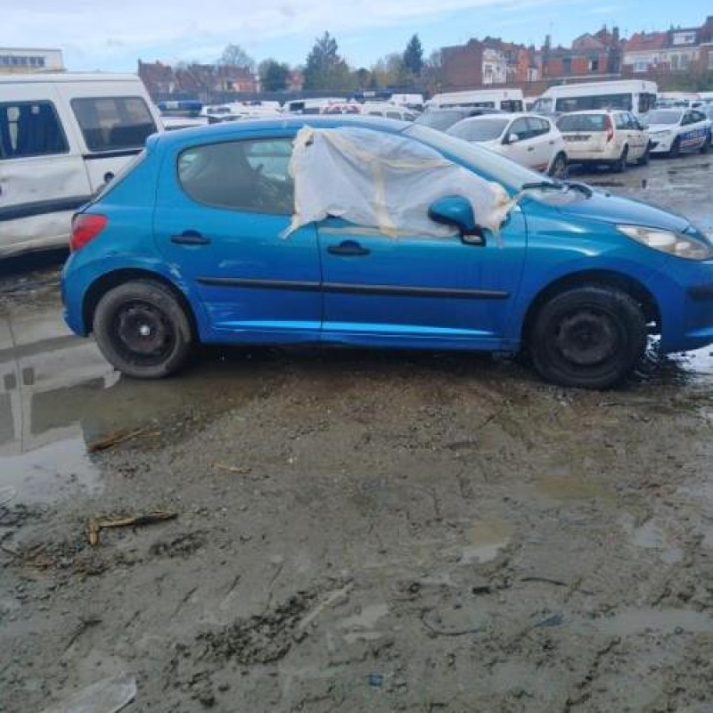 Porte avant gauche PEUGEOT 207 Photo n°9