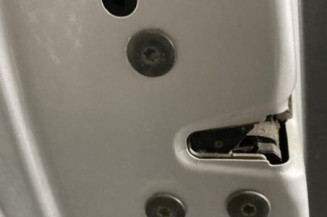 Porte avant gauche RENAULT MEGANE 2