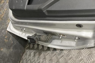 Porte avant gauche RENAULT MEGANE 2