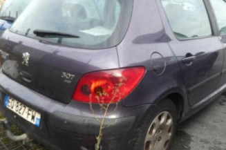 Jante PEUGEOT 307