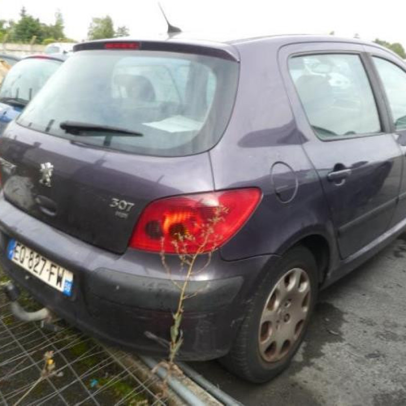 Jante PEUGEOT 307 Photo n°5