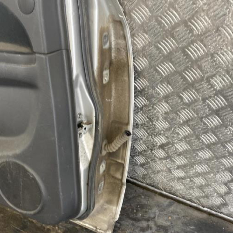 Porte arriere gauche FIAT SEDICI Photo n°5