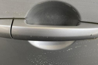 Porte avant droit FIAT SEDICI
