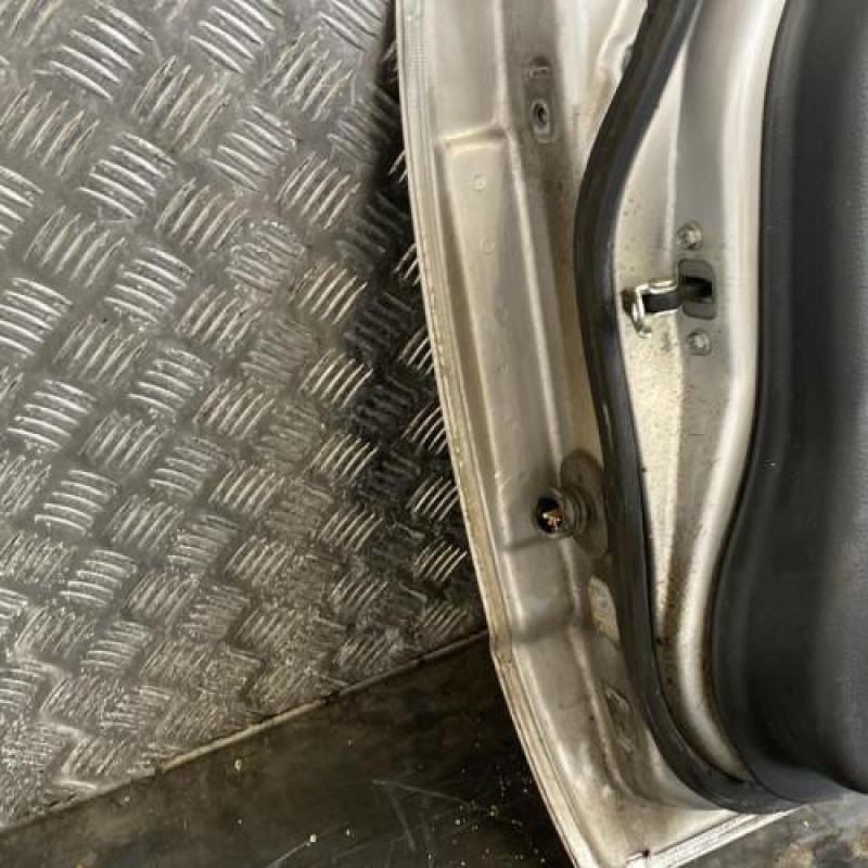 Porte avant droit FIAT SEDICI Photo n°5
