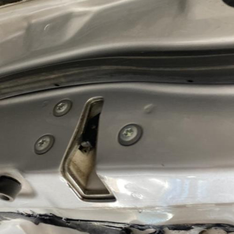Porte avant gauche FIAT SEDICI Photo n°4