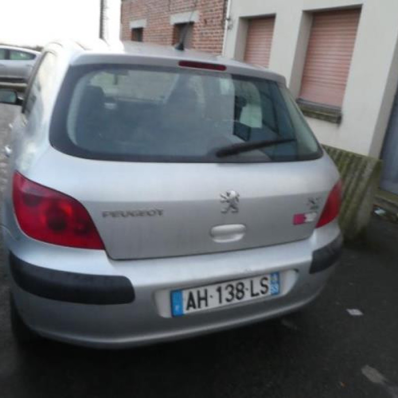 Jante PEUGEOT 307 Photo n°6