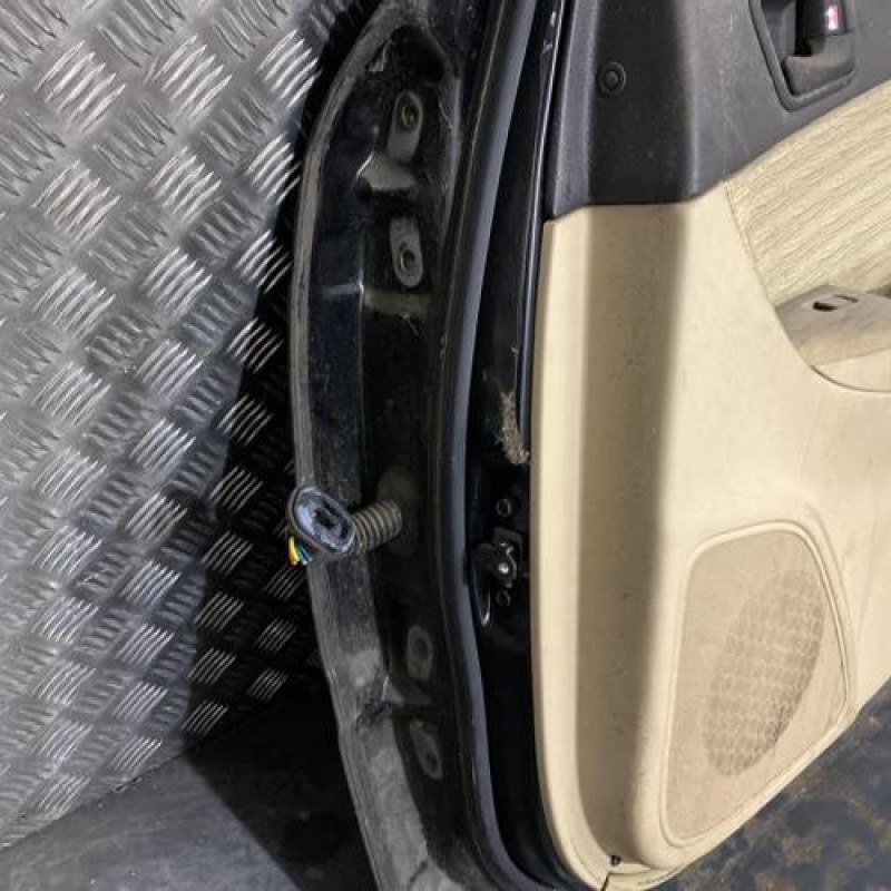 Porte arriere droit HYUNDAI SONATA 6 Photo n°4