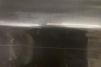 Porte arriere gauche BMW SERIE 1 E87