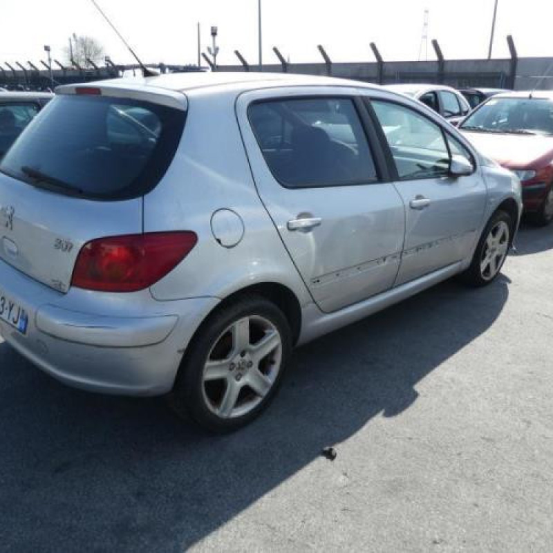Jante PEUGEOT 307 Photo n°4