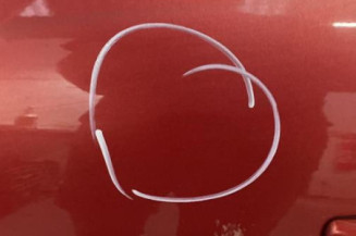 Porte avant gauche PEUGEOT 207