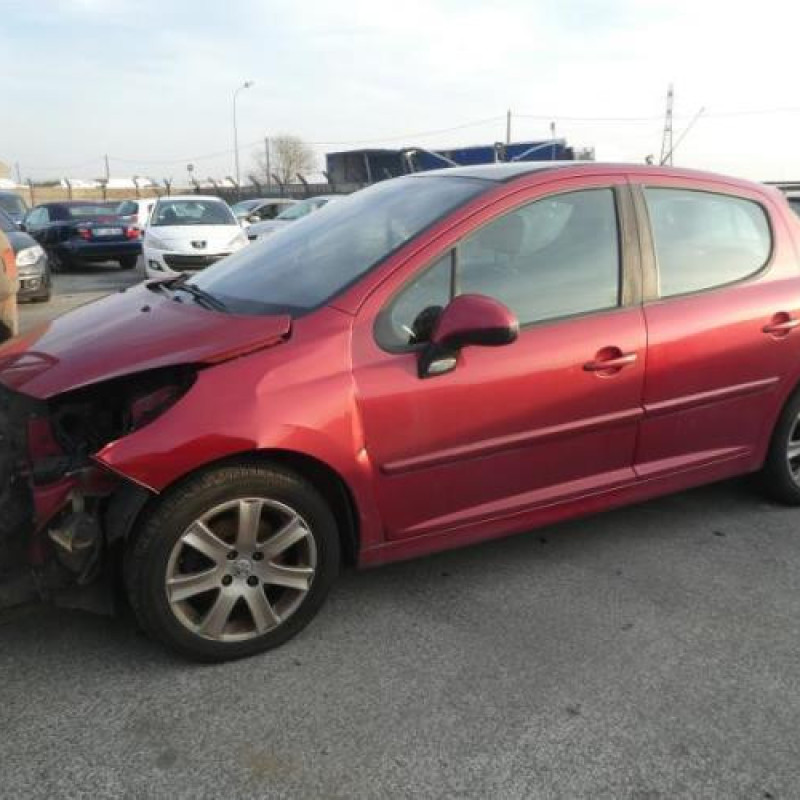 Porte avant gauche PEUGEOT 207 Photo n°8