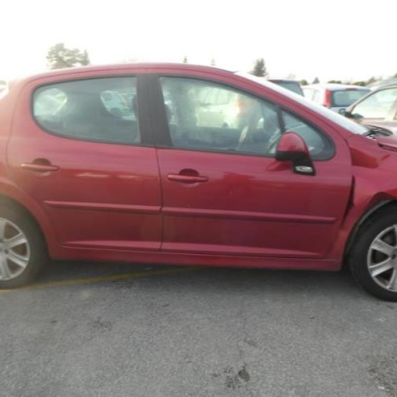 Porte avant gauche PEUGEOT 207 Photo n°14