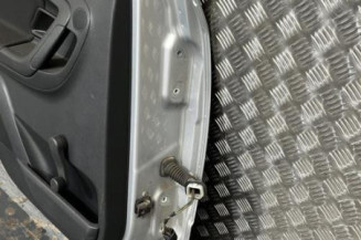 Porte arriere gauche SKODA FABIA 2