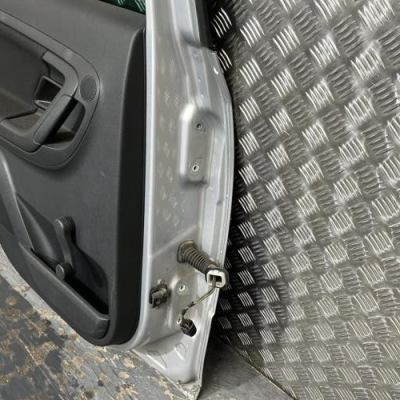 Porte arriere gauche SKODA FABIA 2 Photo n°3