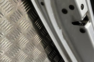 Porte arriere gauche SKODA FABIA 2