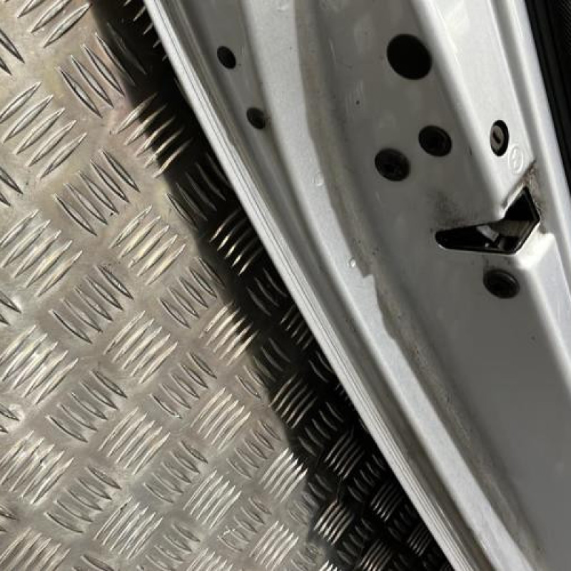 Porte arriere gauche SKODA FABIA 2 Photo n°4