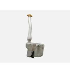 Vase de lave glace RENAULT MASTER 3 Photo n°1