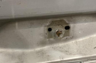 Malle/Hayon arriere CITROEN C3 PLURIEL
