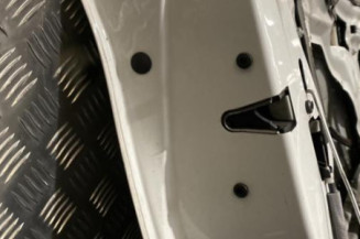 Porte avant gauche BMW SERIE 1 E87