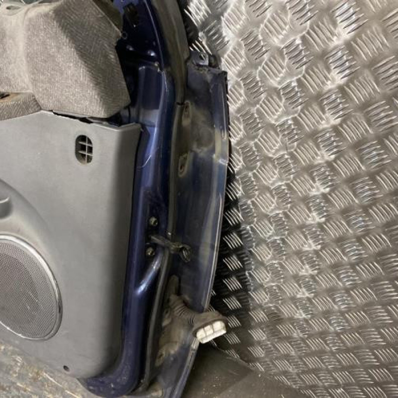 Porte avant gauche KIA CARNIVAL 1 Photo n°6