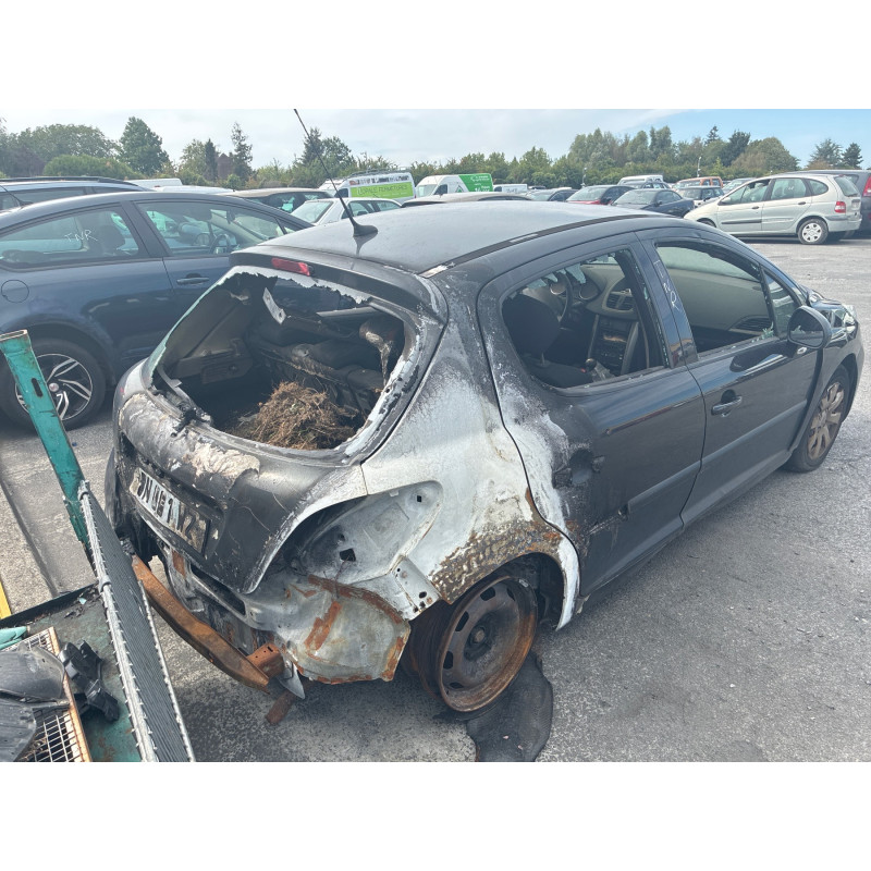 Custode avant droit (porte) PEUGEOT 207 Photo n°8