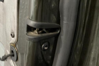Porte avant droit AUDI A2