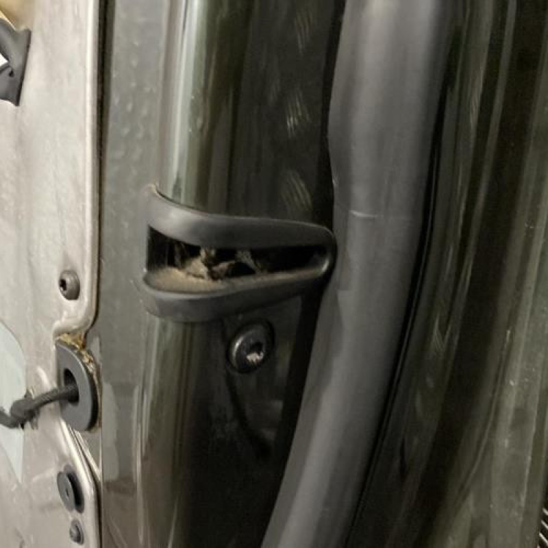 Porte avant droit AUDI A2 Photo n°6