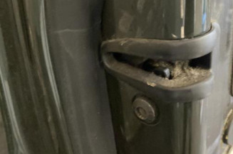 Porte avant gauche AUDI A2