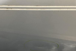 Porte avant gauche CITROEN C5 1