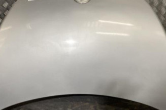 Capot VOLKSWAGEN NEW BEETLE 1 Photo n°1