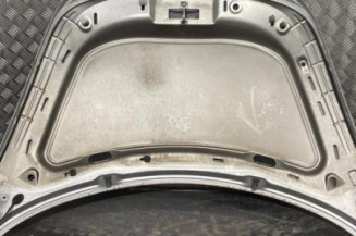Capot VOLKSWAGEN NEW BEETLE 1