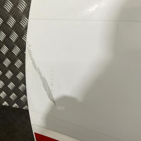 Porte avant gauche RENAULT MEGANE 3