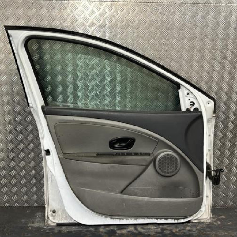 Porte avant gauche RENAULT MEGANE 3 Photo n°5