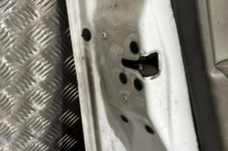 Porte avant gauche RENAULT MEGANE 3