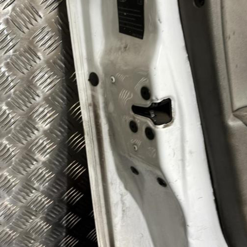 Porte avant gauche RENAULT MEGANE 3 Photo n°6