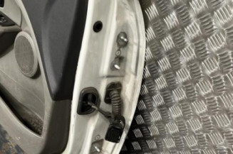 Porte avant gauche RENAULT MEGANE 3