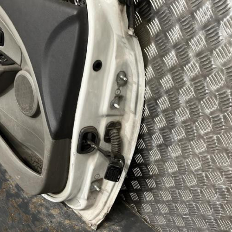 Porte avant gauche RENAULT MEGANE 3 Photo n°7