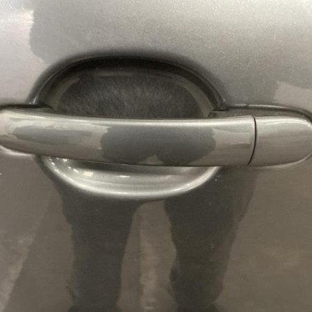 Porte arriere gauche AUDI A2