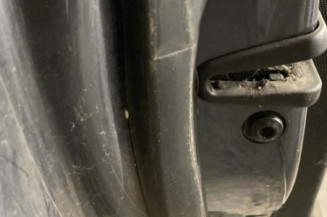 Porte arriere gauche AUDI A2