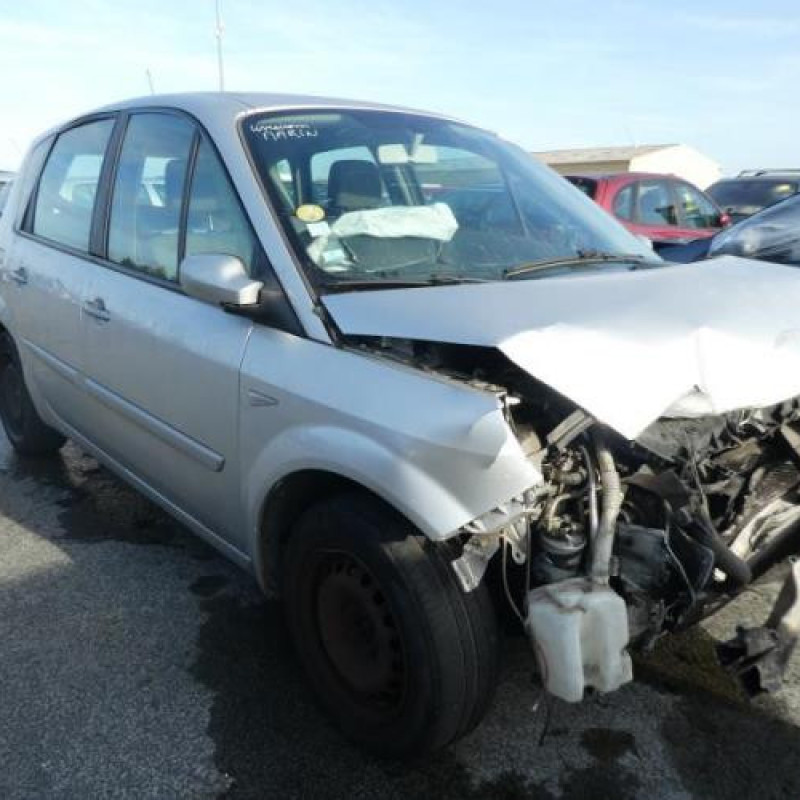 Plage arriere RENAULT SCENIC 2 Photo n°3