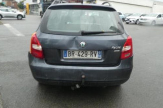 Porte arriere gauche SKODA FABIA 2