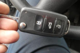 Porte arriere gauche SKODA FABIA 2