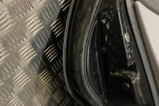 Porte arriere gauche VOLKSWAGEN POLO 4