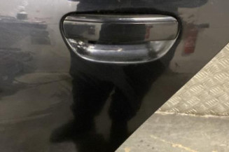 Porte arriere gauche SEAT EXEO