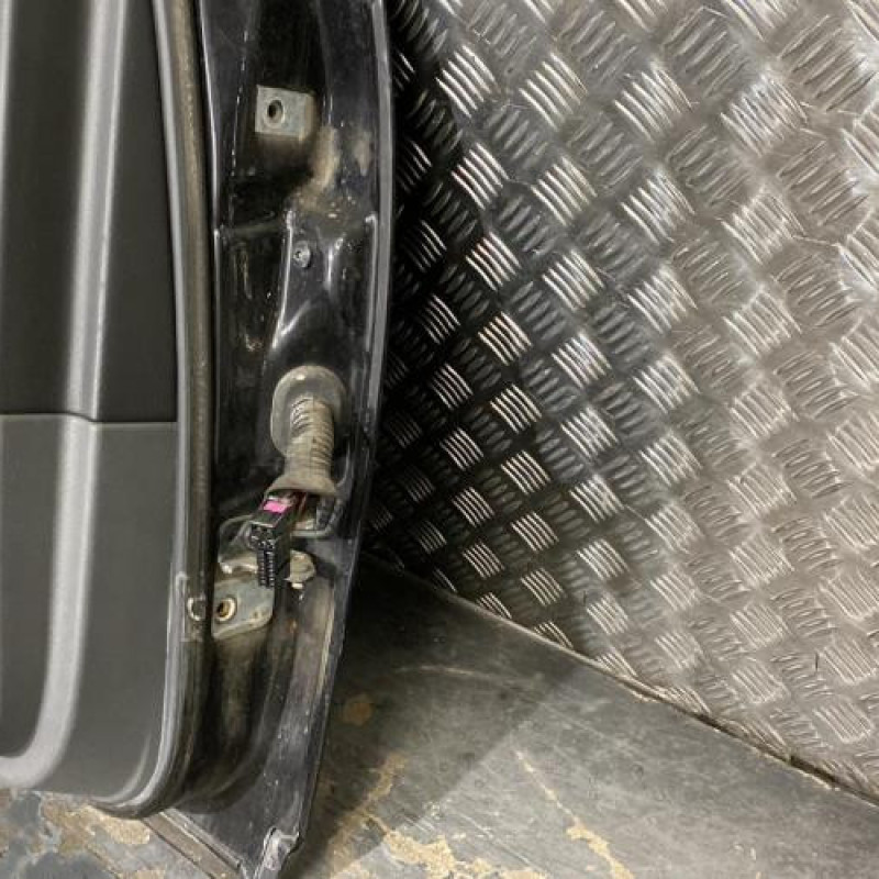 Porte arriere gauche SEAT EXEO Photo n°4
