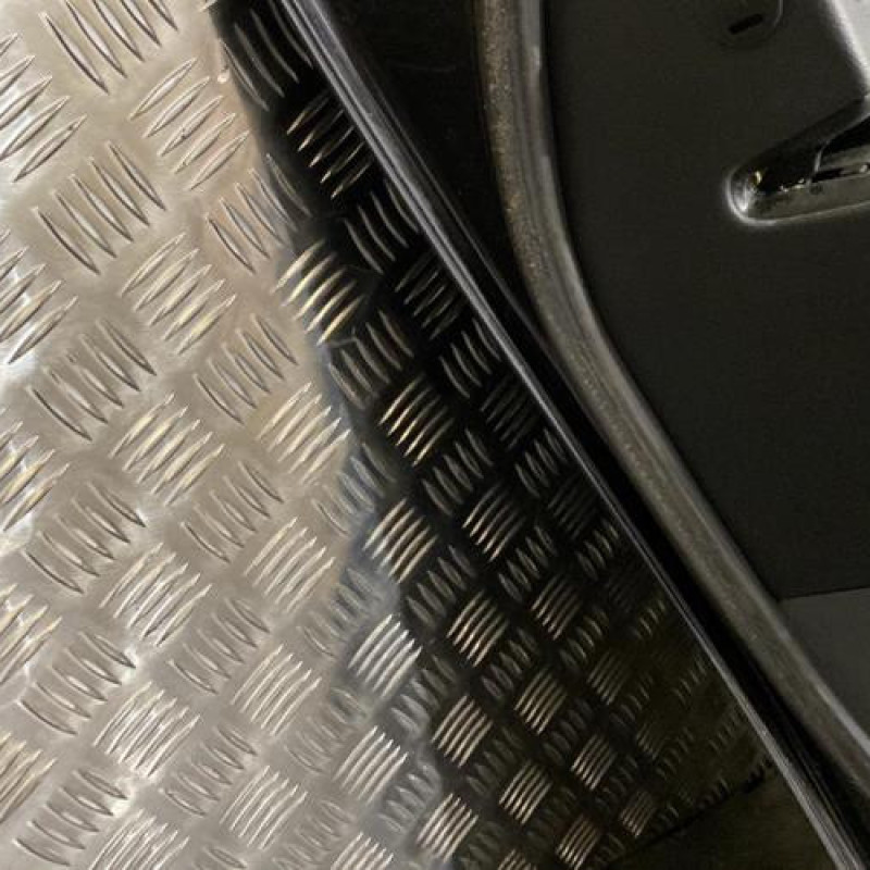 Porte arriere gauche SEAT EXEO Photo n°5