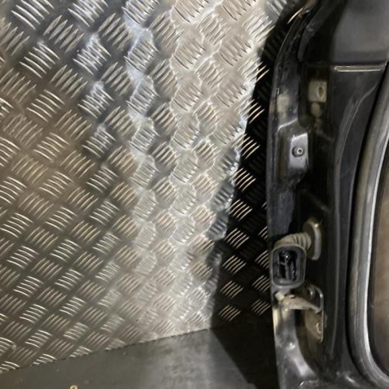 Porte avant droit SEAT EXEO Photo n°4