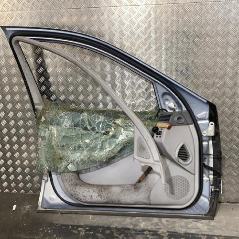 Porte avant gauche MERCEDES CLASSE S 220 Photo n°6