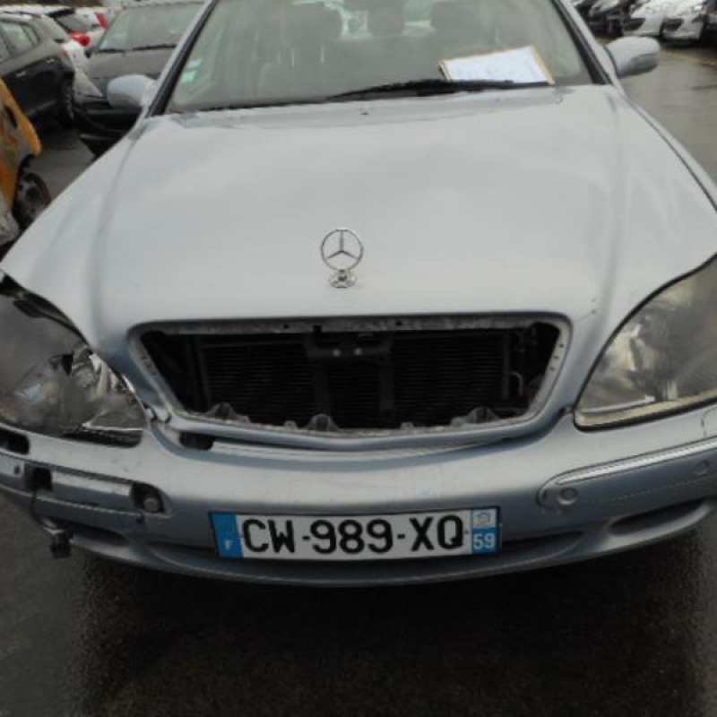 Porte avant gauche MERCEDES CLASSE S 220 Photo n°9